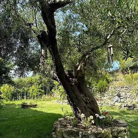 Daire Sunrise View House Halkidiki!