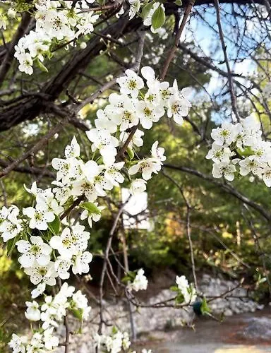 Sunrise View House Halkidiki! Ajía Paraszkeví