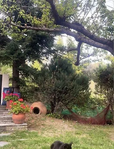 Sunrise View House Halkidiki! Ajía Paraszkeví